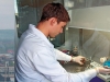 Antibodies against Carcinogens Antibodies against Carcinogens