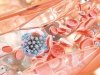 Генетический код – ключ к созданию вакцины от рака Генетический код – ключ к созданию вакцины от рака