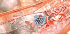 Генетический код – ключ к созданию вакцины от рака