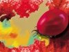 Клещевой боррелиоз: болезнь на всю жизнь?