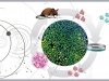 Клетка: из зрелости – в детство Клетка: из зрелости – в детство