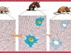 Можно ли отменить старение? Можно ли отменить старение?
