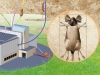 The Postgenomic Era, or Why We Need 300,000 Mice Strains