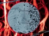 The Postgenomic Era: “Seeing through a Brick Wall”