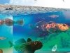 Рыбы Байкала в борьбе с атеросклерозом#О новом экспериментальном объекте для медицины Рыбы Байкала в борьбе с атеросклерозом#О новом экспериментальном объекте для медицины