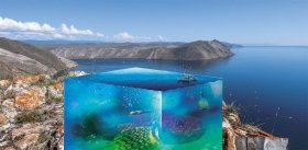Байкальскому бычку для «счастья» хватает только запаха самки