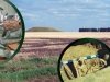Погребенные почвы – послание из прошлого Погребенные почвы – послание из прошлого