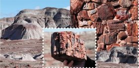 В окаменевших лесах Аризоны