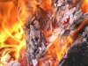 Никогда не курите при неандертальцах