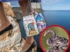 Maybe-Bag and Let It Be. Ecological Crisis in Lake Baikal: A Mystery of the Century