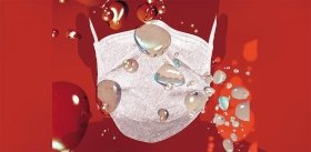 Вирус гриппа: подробности личной жизни