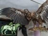 Тылес курок ики, или Орел прилетает на Новый год Тылес курок ики, или Орел прилетает на Новый год