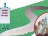 Архитекторы молекул Архитекторы молекул