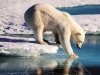 «Космические» пространства Арктики «Космические» пространства Арктики