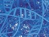 О двухметровой ДНК, достоинствах фрактальной упаковки и генетической «робастности» как мериле долголетия О двухметровой ДНК, достоинствах фрактальной упаковки и генетической «робастности» как мериле долголетия
