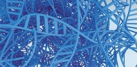О двухметровой ДНК, достоинствах фрактальной упаковки и генетической «робастности» как мериле долголетия