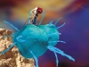 Bacteriophages – the enemies of our enemies Bacteriophages – the enemies of our enemies