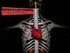 «Почечная» денервация – инновация в лечении сердечных аритмий