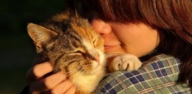 Кошки любят нас сильнее, чем нам кажется