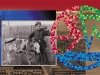 Здесь сбывались мечты Здесь сбывались мечты