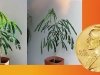 Нобелевская премия по физиологии и медицине 2017. Открытие молекулярно-генетических механизмов биоритмов Нобелевская премия по физиологии и медицине 2017. Открытие молекулярно-генетических механизмов биоритмов