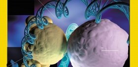 Как замедление работы жизненно важных ферментов поможет в создании лекарств от рака