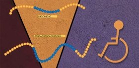 CRISPR/Cas против болезни Гентингтона