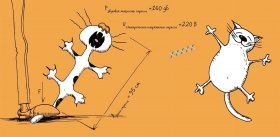 Как измерить стресс и для чего это нужно