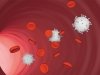 Виросомы: старая форма, новое содержание Виросомы: старая форма, новое содержание