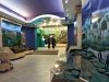 The Baikal Museum: A Participation Effect 