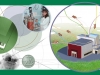 Siberian Сenter for Genetic Resources