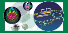“Ion” Therapy for Cancer