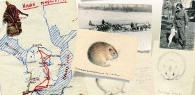 "On a Bright and Sunny Night…" On the Life of Two Women Zoologists from Moscow  in the Yamal Tundra during the Second World War