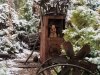 Сказка Сибирского ботанического сада существует благодаря и во имя любви – любви к зеленому другу Сказка Сибирского ботанического сада существует благодаря и во имя любви – любви к зеленому другу