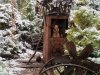 Сказка Сибирского ботанического сада Сказка Сибирского ботанического сада