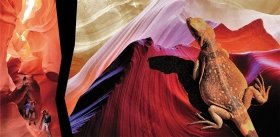 Каньон Антилопы – феерия света и красок