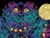 Разработка криоэлектронной микроскопии Разработка криоэлектронной микроскопии