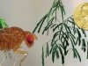 Открытие молекулярных механизмов работы циркадного ритма Открытие молекулярных механизмов работы циркадного ритма