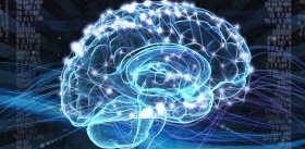 Хорошая новость: у пожилых людей нервные клетки восстанавливаются, но есть одно «но»…