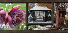 A Garden Born by Inspiration