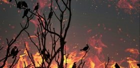 Падение метеорита изменило судьбу не только динозавров, но и птиц