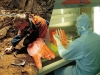 Ancient DNA Has Revealed Its Secret