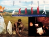 Where has Homo Sapiens come from? Where has Homo Sapiens come from?