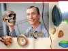 In search of the lost genomes In search of the lost genomes