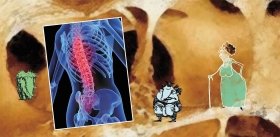 Кости моей бабушки, или Проверь себя на прочность