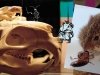 Грызуны выходят на охоту Грызуны выходят на охоту