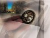 Странствующий рыцарь # Загадочный воин сложил голову на территории Барабы