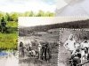 Новосибирский – Илимский – Западно-Сибирский