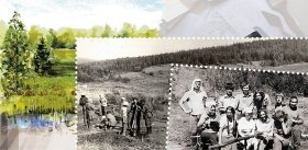 Новосибирский – Илимский – Западно-Сибирский