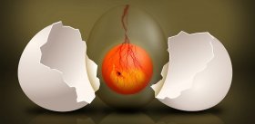 ТОП-10 от Science: изучаем эмбриональные гены – дирижеры роста и развития организма